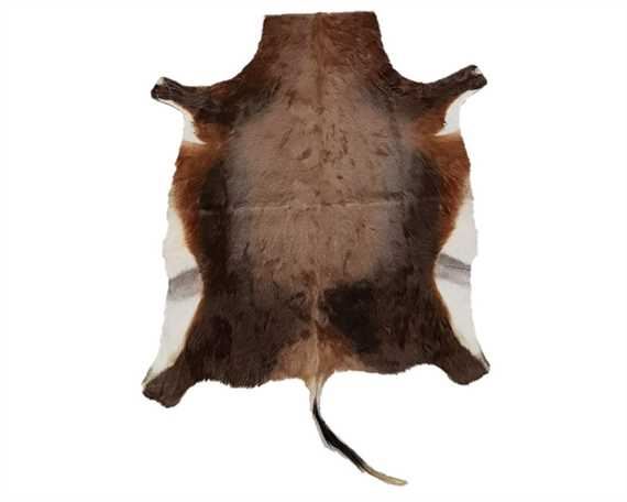 HAIR ON HIDE BLESBOK NATURAL EXTRA LARGE