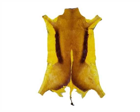 HAIR ON SPRINGBOK YELLOW DYED LARGE PER HIDE