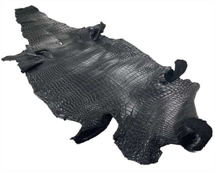EXOTIC CROCODILE SKIN BELLY BLACK 