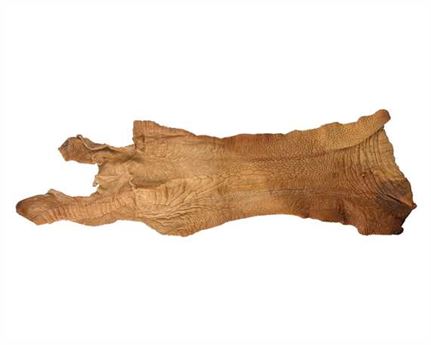 VEG TANNED EXOTIC OSTRICH LEATHER - LEG ONLY