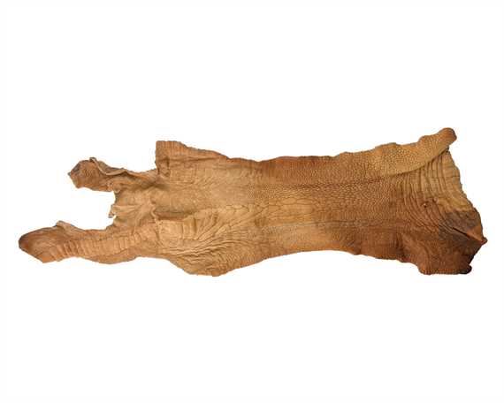 VEG TANNED EXOTIC OSTRICH LEATHER - LEG ONLY