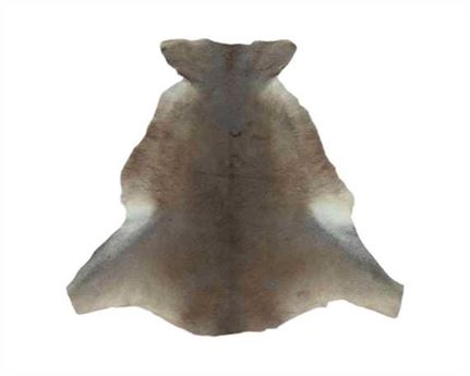 KANGAROO HAIR ON HIDE NO TAIL