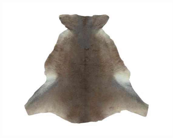 KANGAROO HAIR ON HIDE NO TAIL