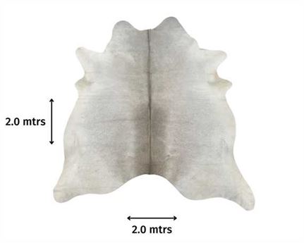  COWHIDE RUG CHAMPAGNE LARGE (rug pictured sent) Free Delivery!