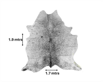  COWHIDE RUG SALT & PEPPER small (rug pictured sent) Free Delivery!