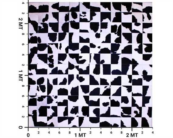 KACHITA COWHIDE PATCHWORK RUG BLACK AND WHITE COLOUR SIZE 2.4MT X 2.4MT